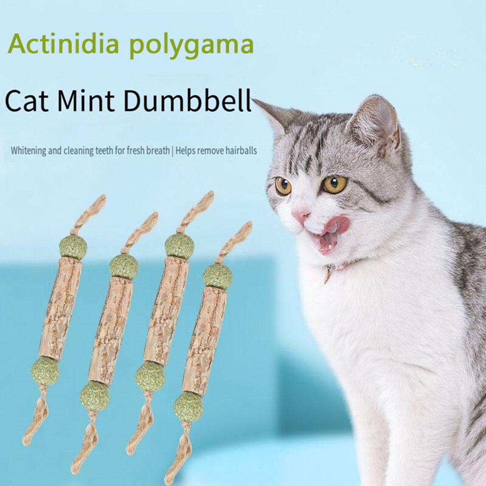 Natural Catnip Cat Molar Toothpaste Stick Cat Cleaning Teeth Cat Pet Sticks Cat Snack Cleaning Teeth Stick Pet Chew Catnip Toy