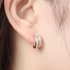 [Bijouholic] Silver 925 Gold-Plated Double Ring Cubic Earrings
