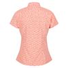 Regatta Womens/Ladies Mindano VI Ditsy Print Shirt