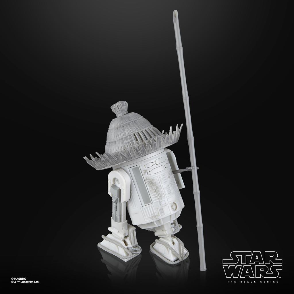 Hasbro Star Wars STAR WARS Black Series Ronin & R5-D56, Star Wars: Visions Kolekcja Premium 15 cm Figurka Akcji 2-pak G1320 Autentyczny