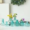 European Style Colored Glass Vase Water Nourishing Green Plants Flower Arrangements Desktop Ornaments Home Decoration