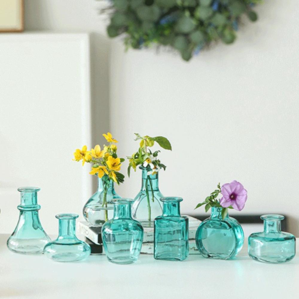 European Style Colored Glass Vase Water Nourishing Green Plants Flower Arrangements Desktop Ornaments Home Decoration