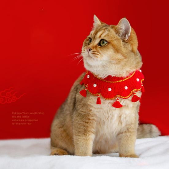 cheap kitten accessories