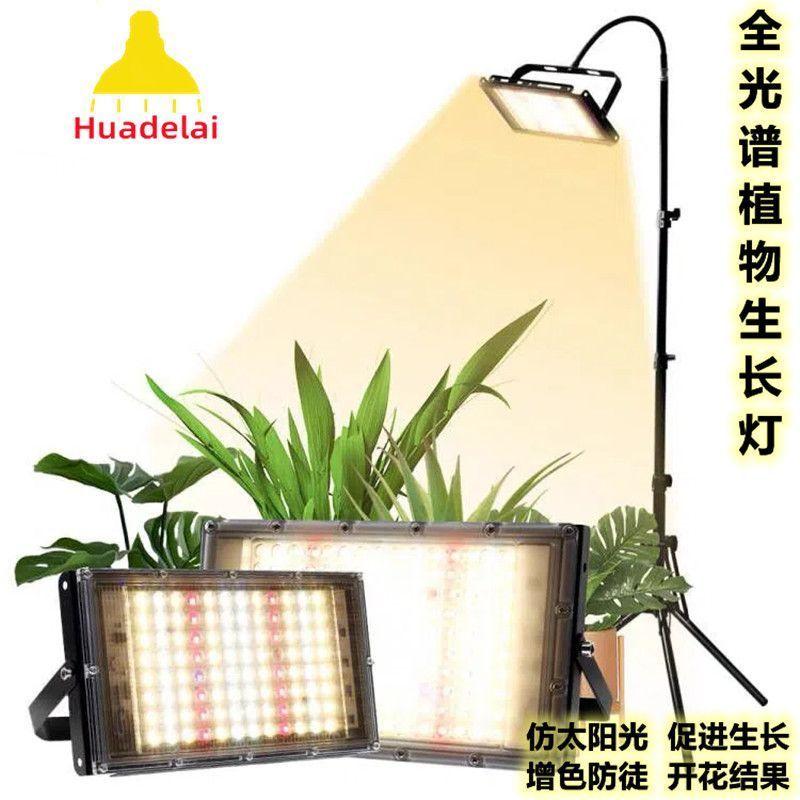 

Полный спектр светодиодного роста растений, заполняющий свет, домашняя имитация солнца, маг, суккулентная окраска, кронштейн, прожектор