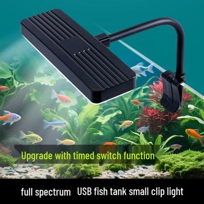 Pesci e animali marini – Illuminazione dell'acquario