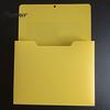 Letter Size File Organizer Holder with Large Magnetic Back, Wall Hanging Plastic Document Project Organizer, A4 Paper Case for Whiteboard Refrigerator