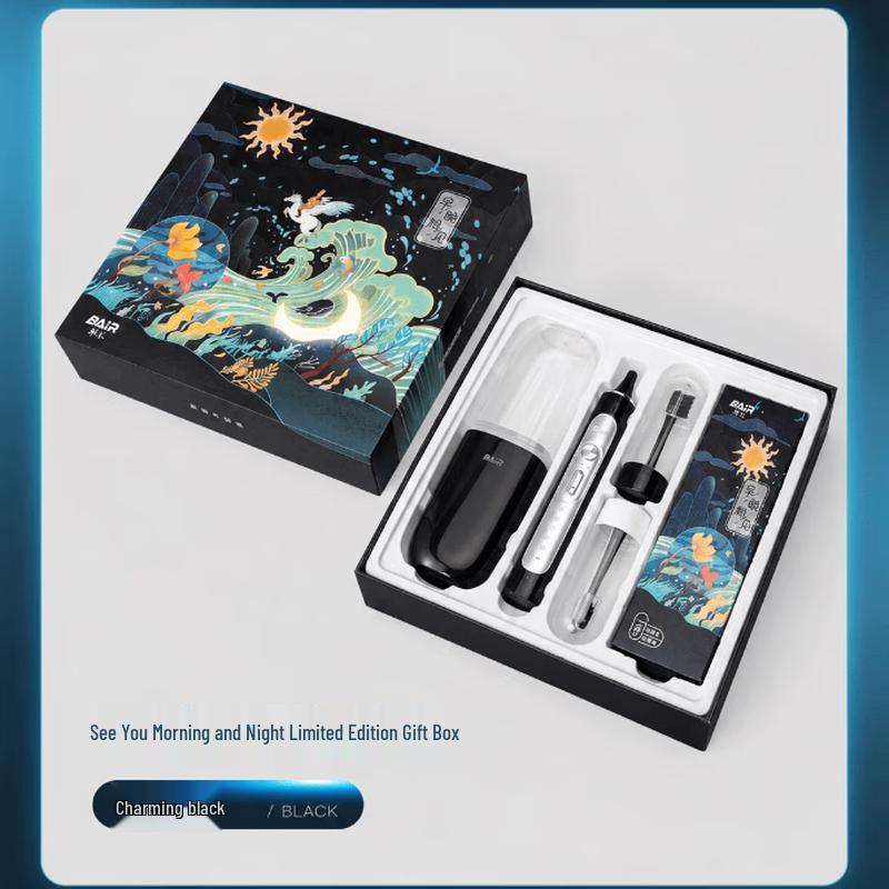 Baier G201 Sonic Electric Toothbrush CN plug (adapter included)