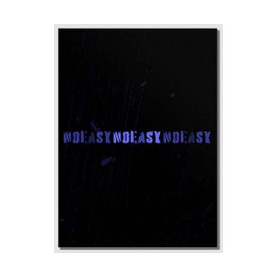 STANDARD Ver STRAY KIDS Album Vol 2 NOEASY A Ver., B Ver