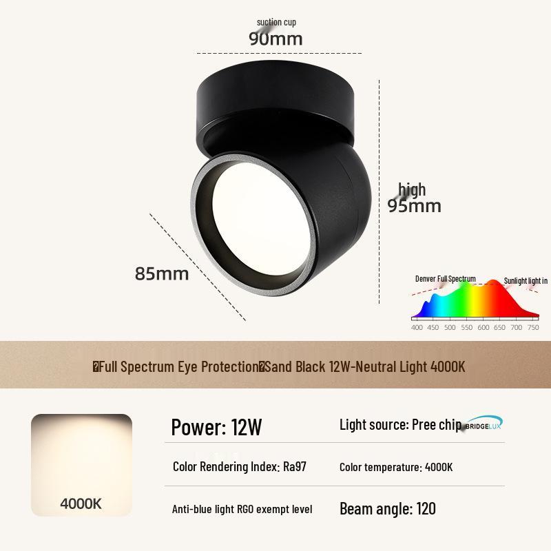 Adjustable Rotatable Surface-Mounted Downlight for Living Room, Aisle, Entrance, Bedroom - No Main Light Required
