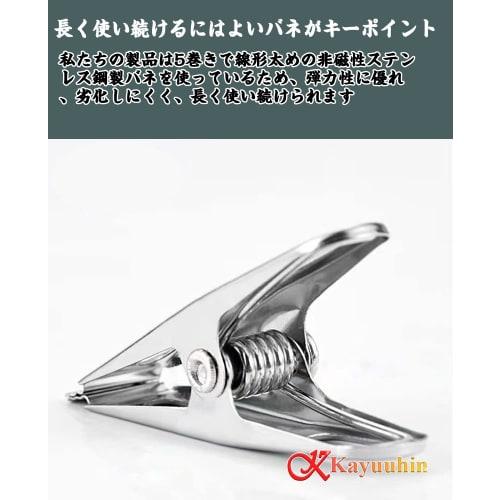 Kayuuhin Clothespins, Stainless Steel, Strong, Non-Slip, Rust-Resistant, for Clothes Drying, Pants, and Hangers (Silver, 40 Pieces, 5cm)