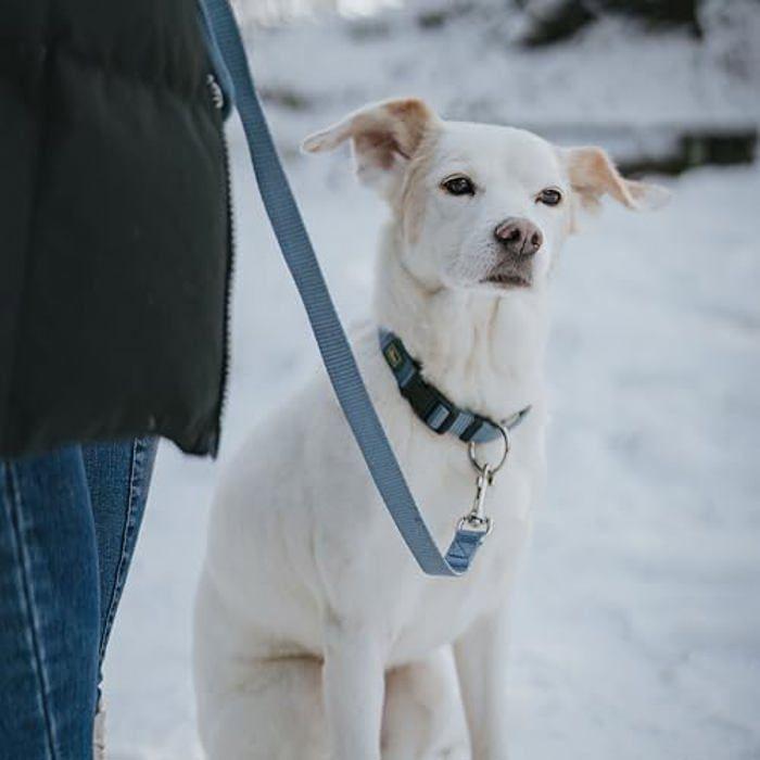 Hundebånd - HUNTER - 20 x 100 cm - Slitesterk nylon - Røykblå farge - Lett å vedlikeholde
