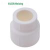 Weixing PPR Reducing Straight Pipe Connector