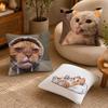 cat Cushion Cover Anti-dustmite Pillowcase Invisible zipper silky short plush Sofa cushion cover