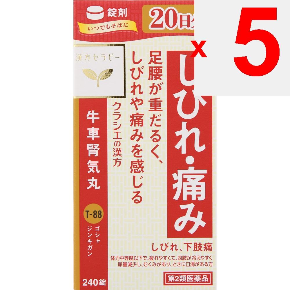 Kracie Pharmaceuticals Gyokushin-ki-gan Extract Tablets 240 Tablets Chinese medicine (Kracie) Chinese medicine Indications: For individuals with moder