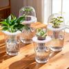 5PCS Plant Nursery Pots with Humidity Dome Transparent Plastic Hydroponic Pots for Seed Starting Gardening Pot Plant Container