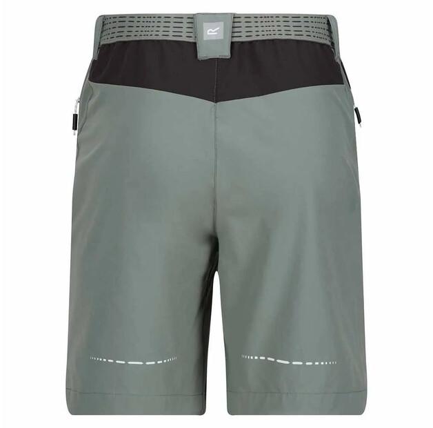 Regatta Шорты Mountain II