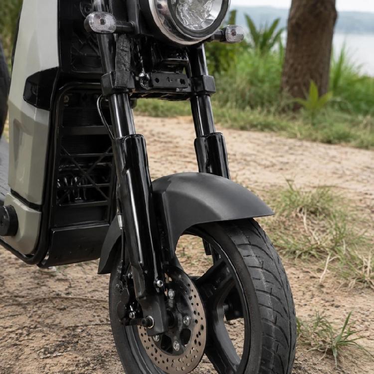 Front Fork Cover Set, Black Replacement Guards with Lower Fork Area Coverage, Molded Plastic Build, and Left Right Pair Format for Daily Use