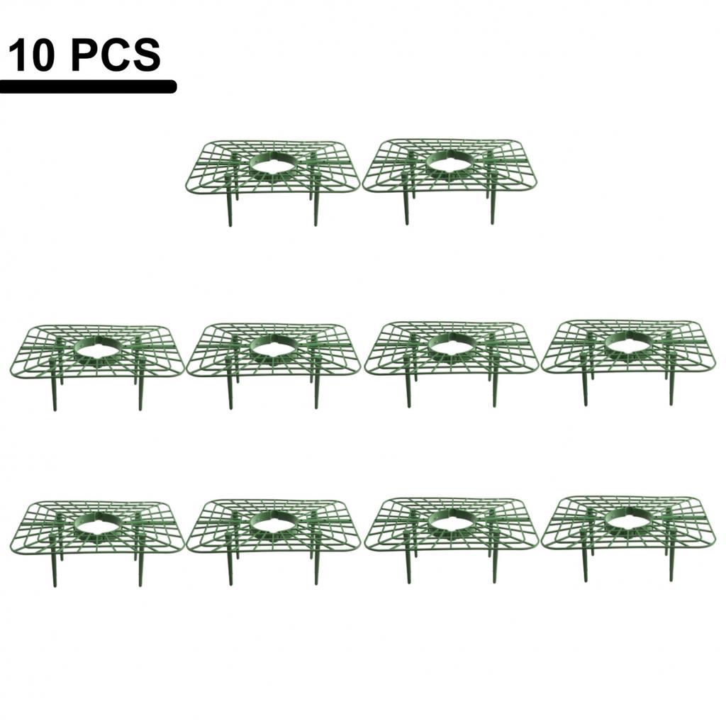 Stable and Sturdy Strawberry Supports Keep Plants Upright and Off the Ground
