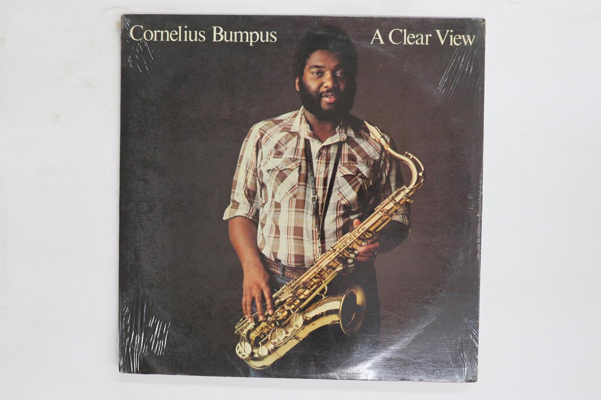 

LP Record CORNELIUS BUMPUS DOOBIE BROTHERS A Clear View 0898BROADBEACH BROADBEACH 1981 US Jazz Used