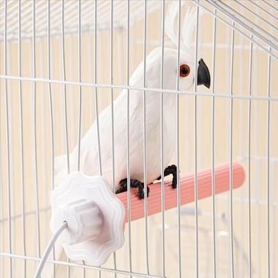 Non-slip USB Heated Bird Perch Comfortable Grip Easy To Install Cockatiel Standing Pole Smooth Corner Rounded Safe Edges