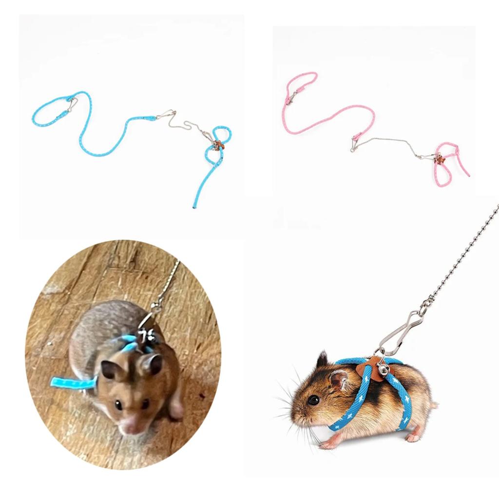 New Soft and durable adjustable pet traction rope with bell - the ultimate outdoor training companion for mouse, parrot, hamster