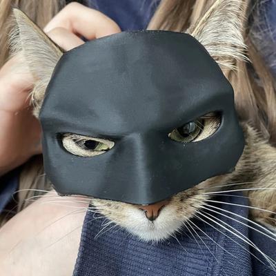 Maska kota na Halloween Czarna maska na pół twarzy dla zwierząt Maska inspirowana nietoperzem z uszami