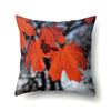 Maple Leaf Pillowcase Cartoon  Lumbar Pillow Sofa   Cushion