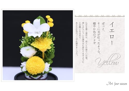 Art for Seasons Mini Mum Mini Dome Yellow Preserved Flowers