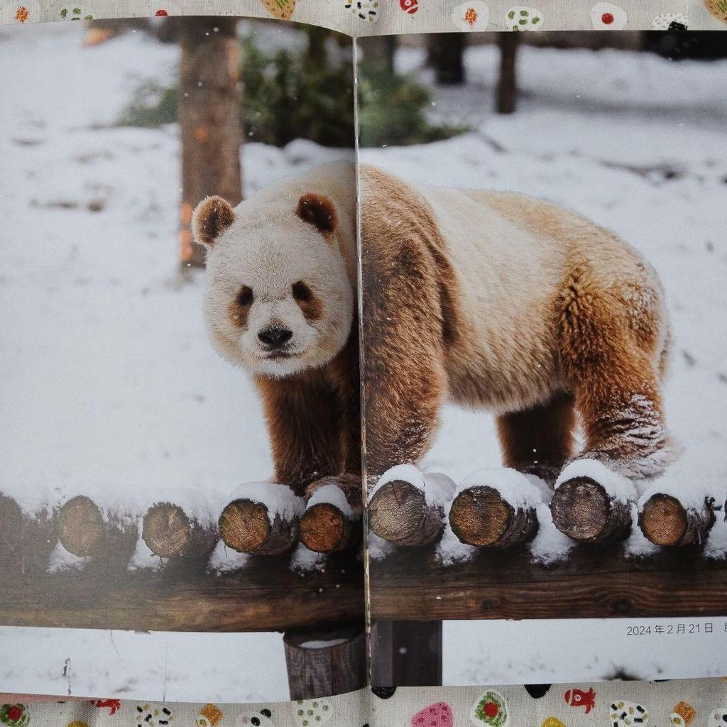 [USED] A rare item! The sixth book in the Panda series, "Seven Pandas