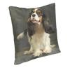 Cavalier King Charles Spaniel Luxury Pillow Cover Home Decorative Dog Animal Cushions For Sofa Double Sided Print Chair Cushion