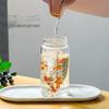 Taixige Microwave Safe Heat-Resistant Glass Breakfast Mug