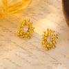 French Style Light Luxury Fashionable Personality Fireworks Zircon Earrings Women's High-end Sense Simple Exquisite Temperament Commuting