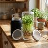 Blackout Sleeves Glass Sprout Growing Set Drain Cover Sprout Growing Container  Home Gardeners