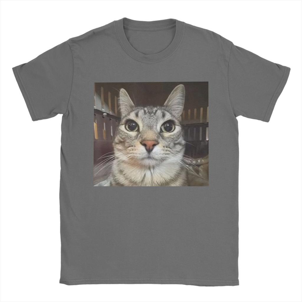Silly Staring Cat Meme Mens T Shirts Vintage Tees Short Sleeve Round Collar TShirts Pure Cotton Party Clothes