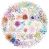 50 Transparent Cartoon Watercolor Firework Sticker Pack Waterproof Transparent PET Hand Account Decorative Guitar Notebook