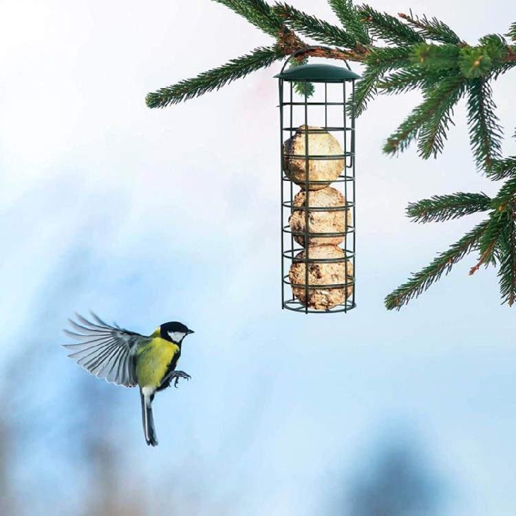 Hanging Wild Bird Feeder Clear Tube Suet Metal Bird Feeders for Outdoor Garden