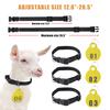 1 set Livestock Animal Identification Hang Tag Kit Adjustable Nylon Collar TPU Double-sided Serial Number Hang Tag & Metal Ring