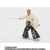 Abarenbo Shogun S.H.Figuarts