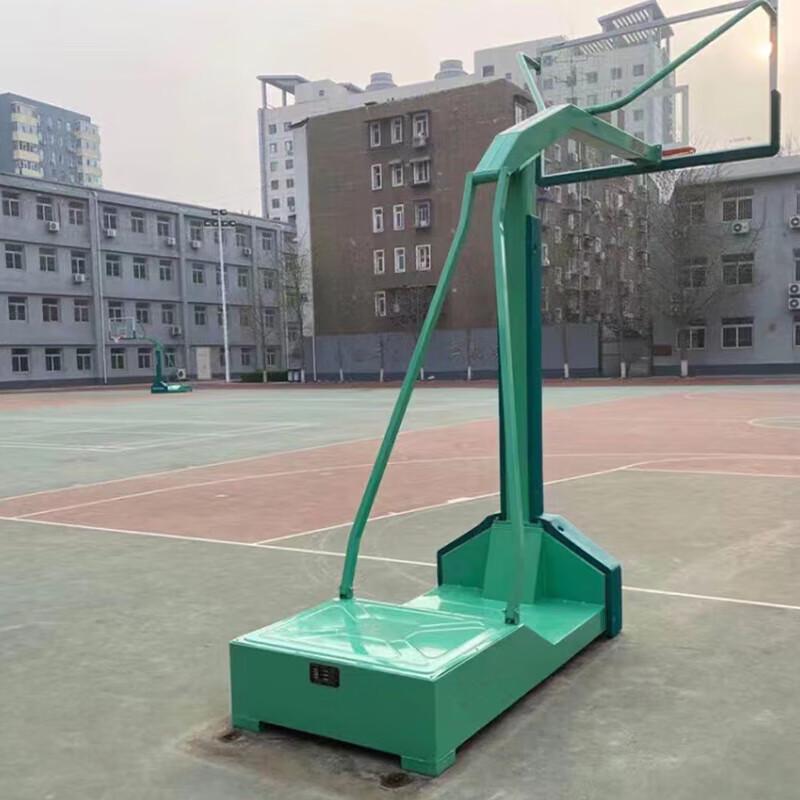 GZ Fish Portable Basketball Hoop