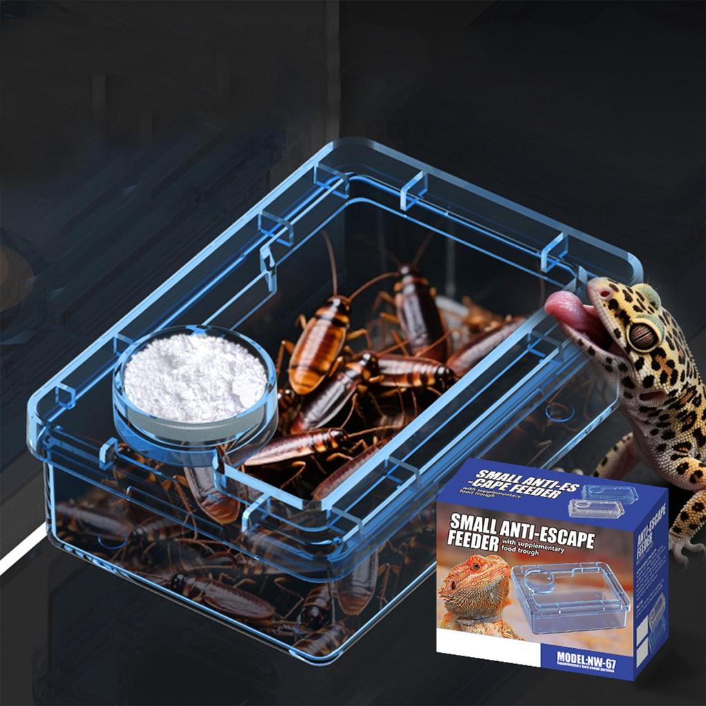 Reptilien Futternapf Ausbruchsicher Futterteller für Kronengecko Kleintier Futterspender für Spinne Eidechse Schildkröte Käfig Terrarium Chamäleon