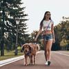 210cm Multipurpose Medium Size Dog Double Leash Leashes Adjustable And Nylon Luxury Hands Free Small Dog Leash For 2 Dogs