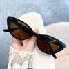 Fashion Non-polarized Women's Sunglasses Unisex Classic Retro Triangle Design Cat Eye Sun Glasses UV400 Outdoor Riding Eyewear