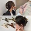 Women's Clear Hair Clip Basic Twist Hair Pin