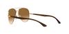 ARISTA 58 Sonnenbrille RB3675 Ray-Ban