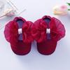 2022 New Soft Sole Princess Baby Shoes for Newborns, 0-1 Year, 3-9 Months