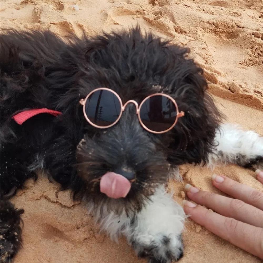 Lovely Vintage Round Puppy Dog Cat Sunglasses Cool Pet Glasses for Small Dogs Animals Rabbit Mascotas Doll Grooming Accessories