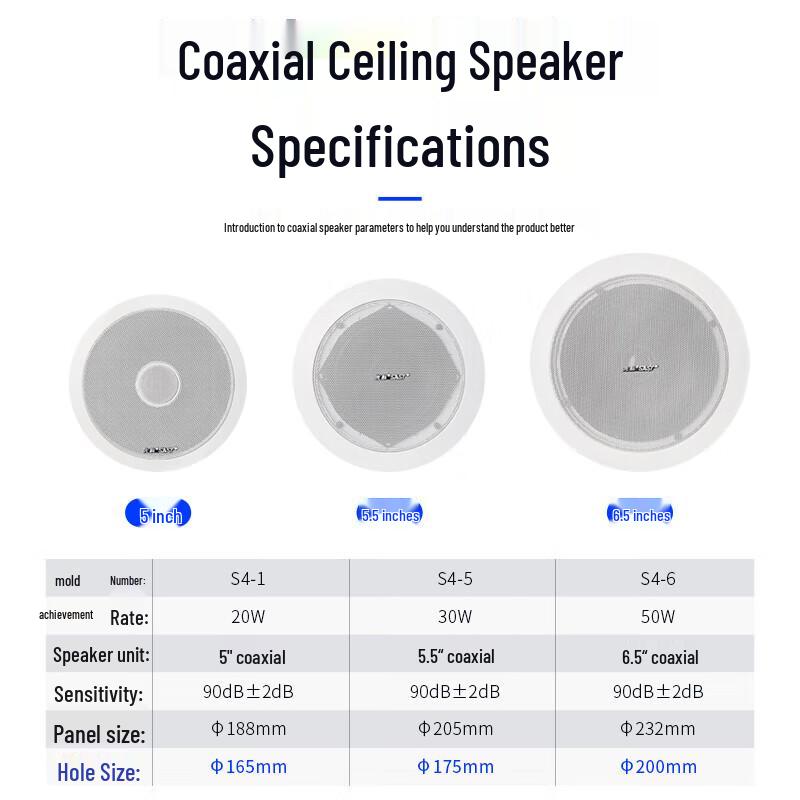 SAST 300W Bluetooth Ceiling Speaker System with 20x 8-inch Speakers CN plug (adapter included)