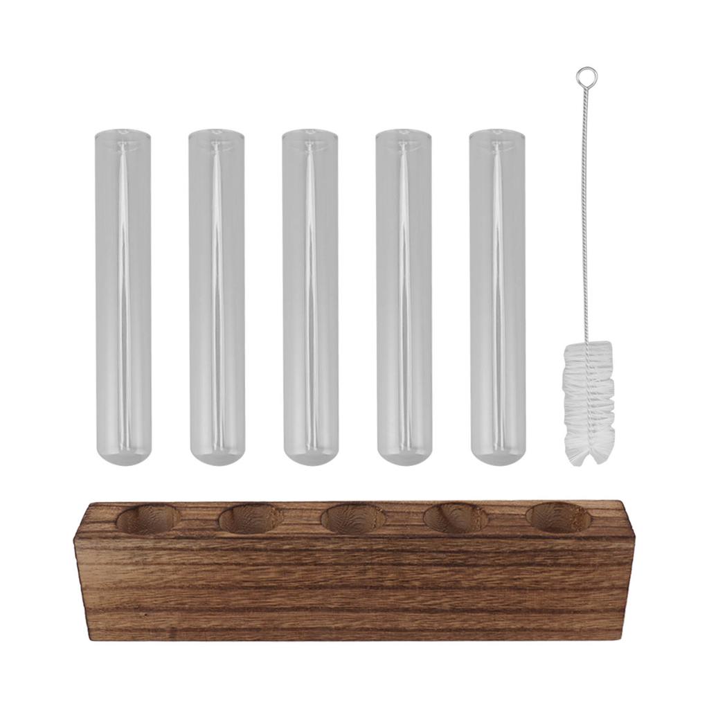 Glass Plant Propagation Station Plant Propagation Tubes Desktop Plant Terrarium With Wooden Stand
