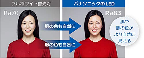 Panasonic LED Multi-Purpose Light (for storage rooms, hallways, etc.), Daylight White, HH-SF0030N