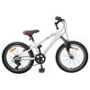vidaXL Mountain Bike 20 Inch 6-Speed for 5-8 Years White